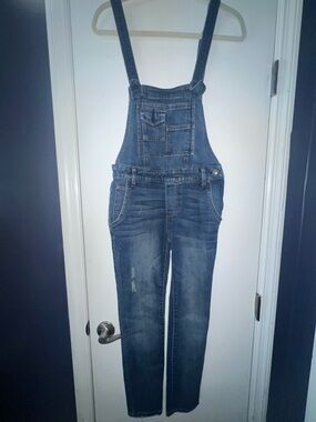 Free People Blue Denim Overalls